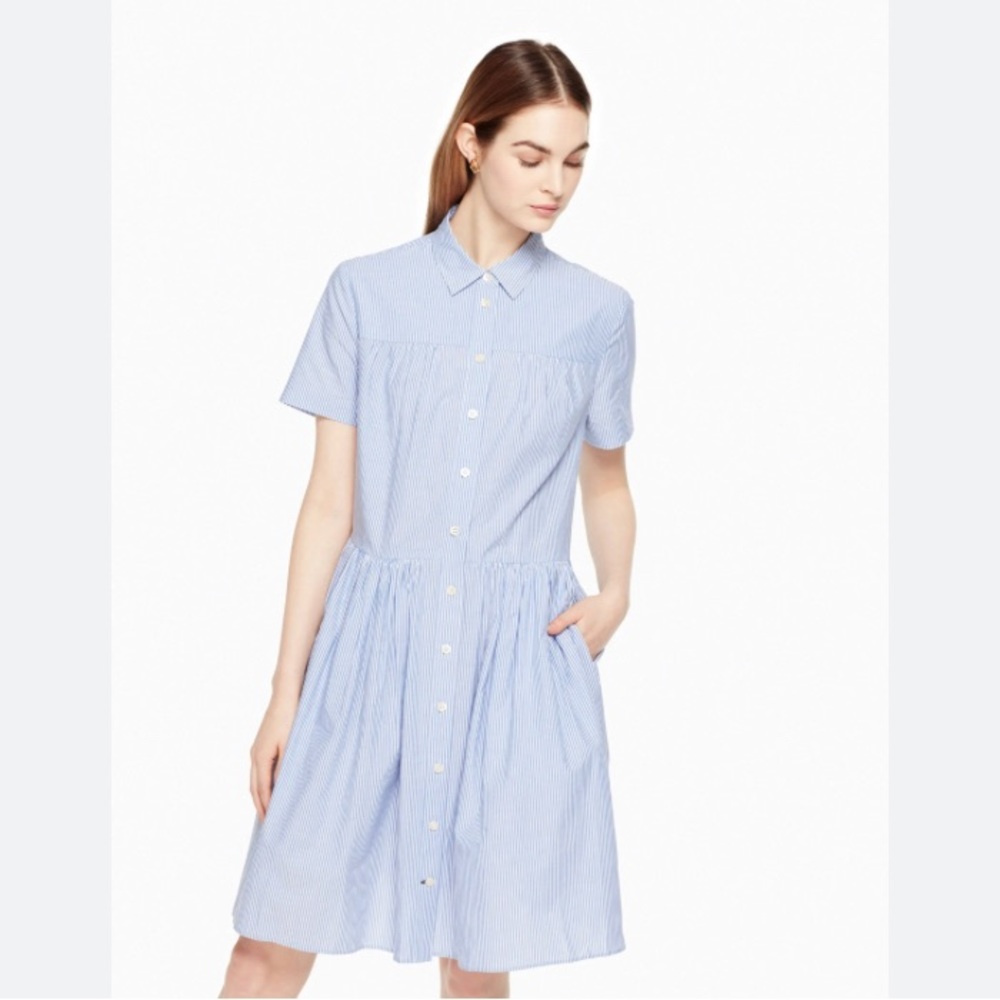 Kate Spade Blue Striped Dress
